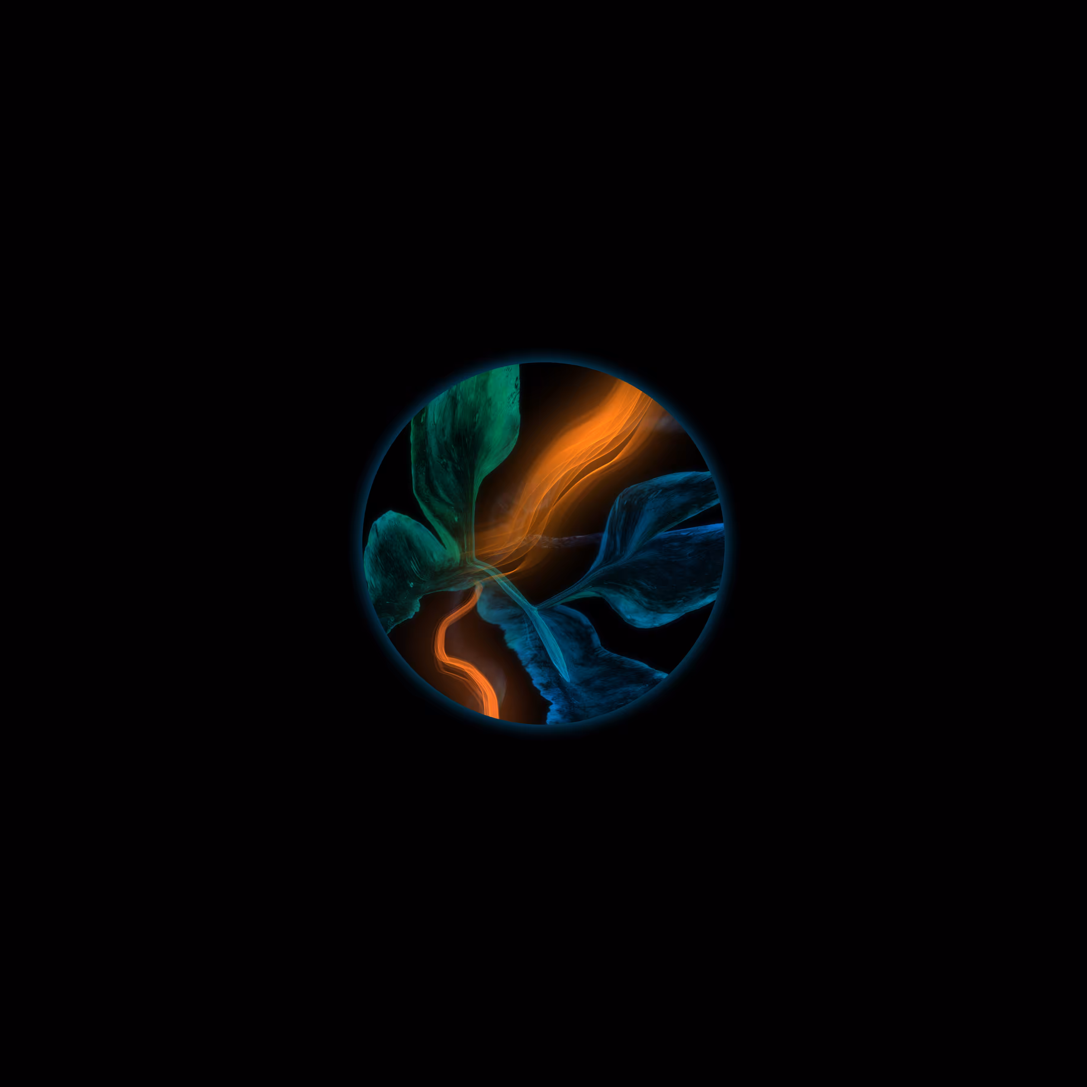 S001_0075