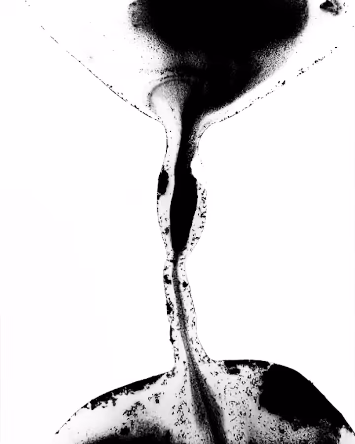Study 006