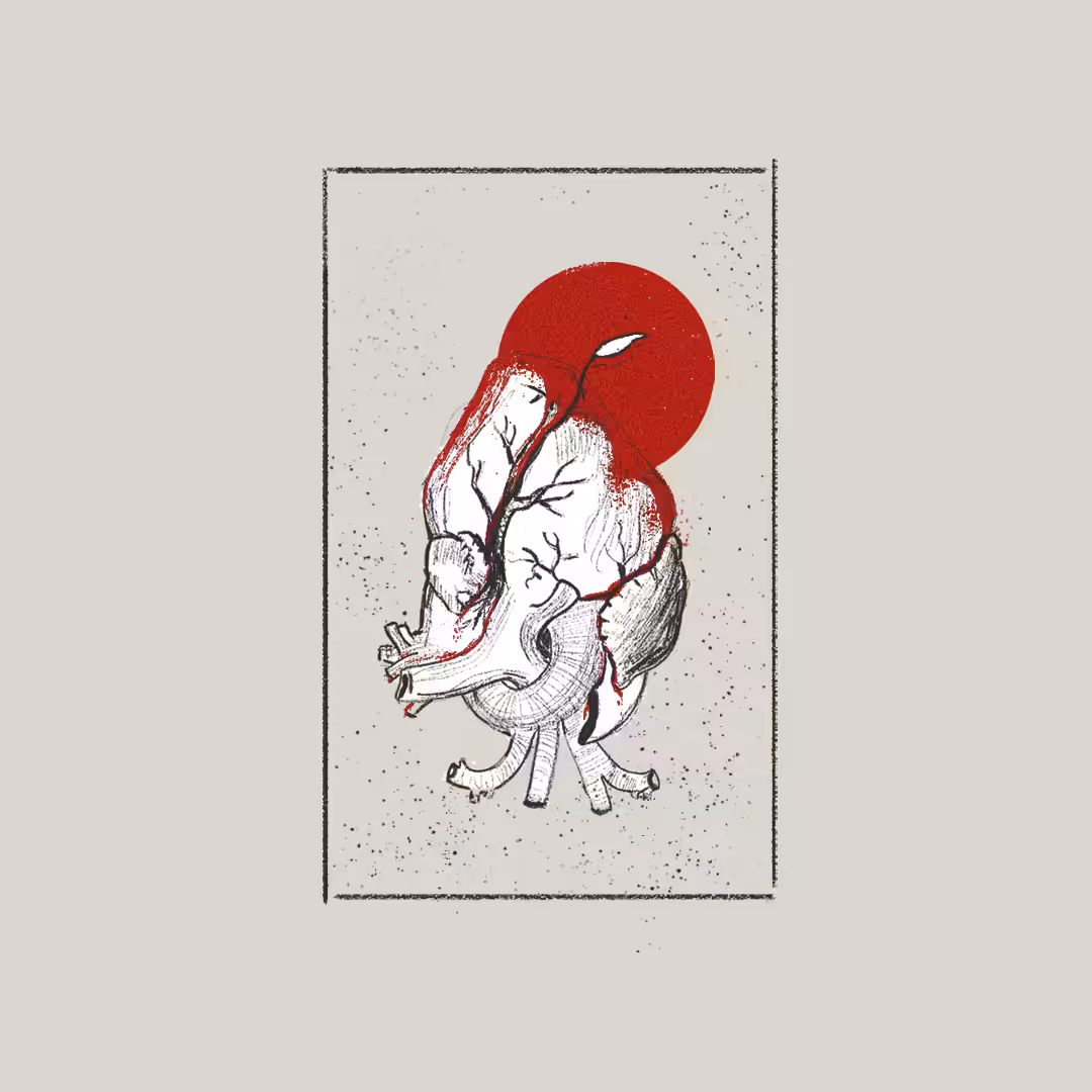 Fountain | "Organs" Collection