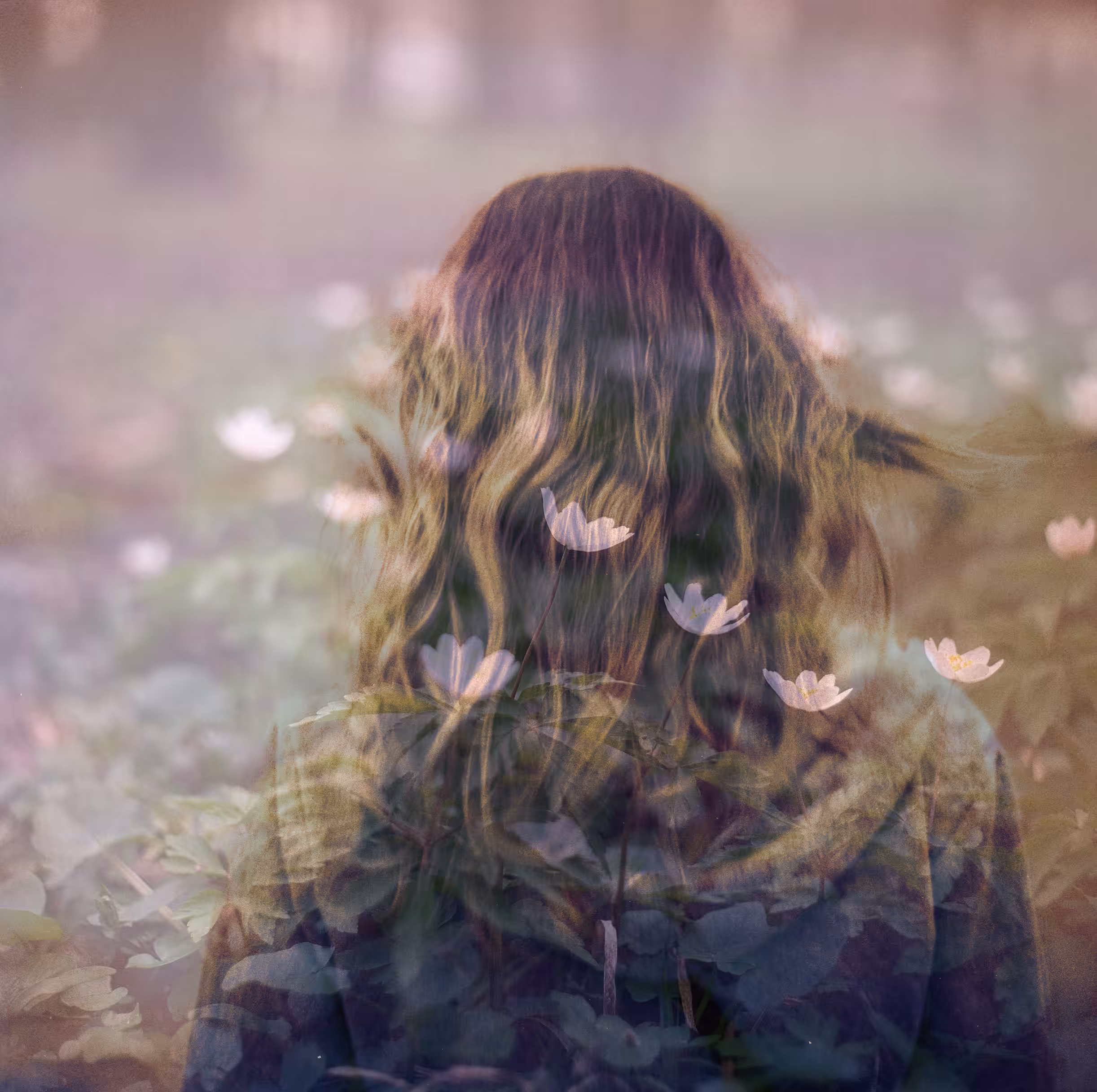 last flowers 