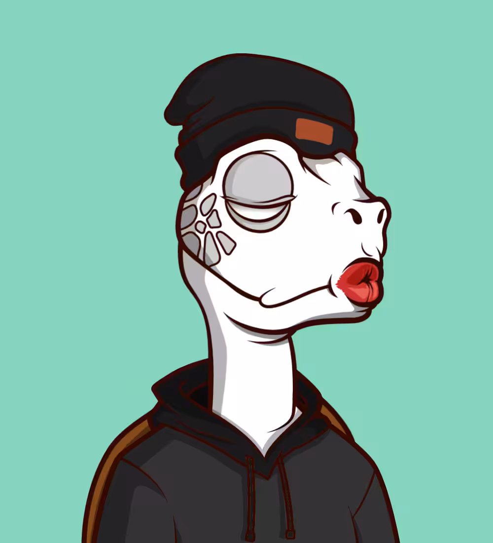 Tiny Turtle 14
