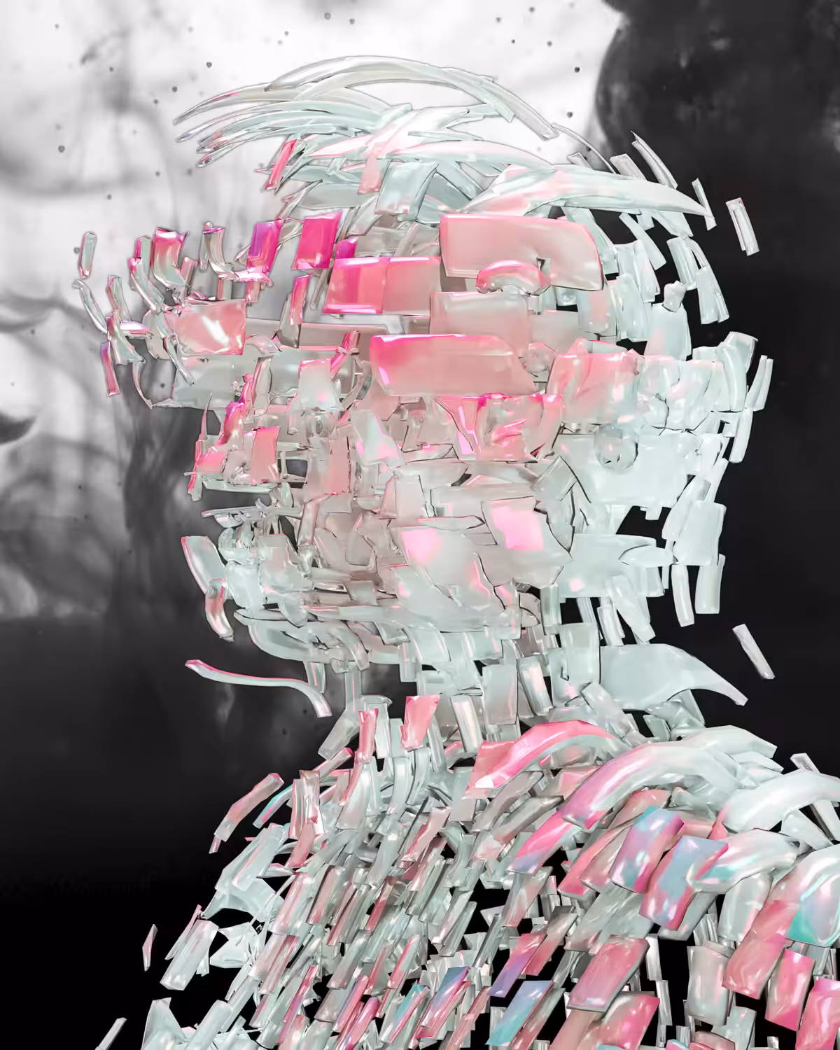 dissect 004