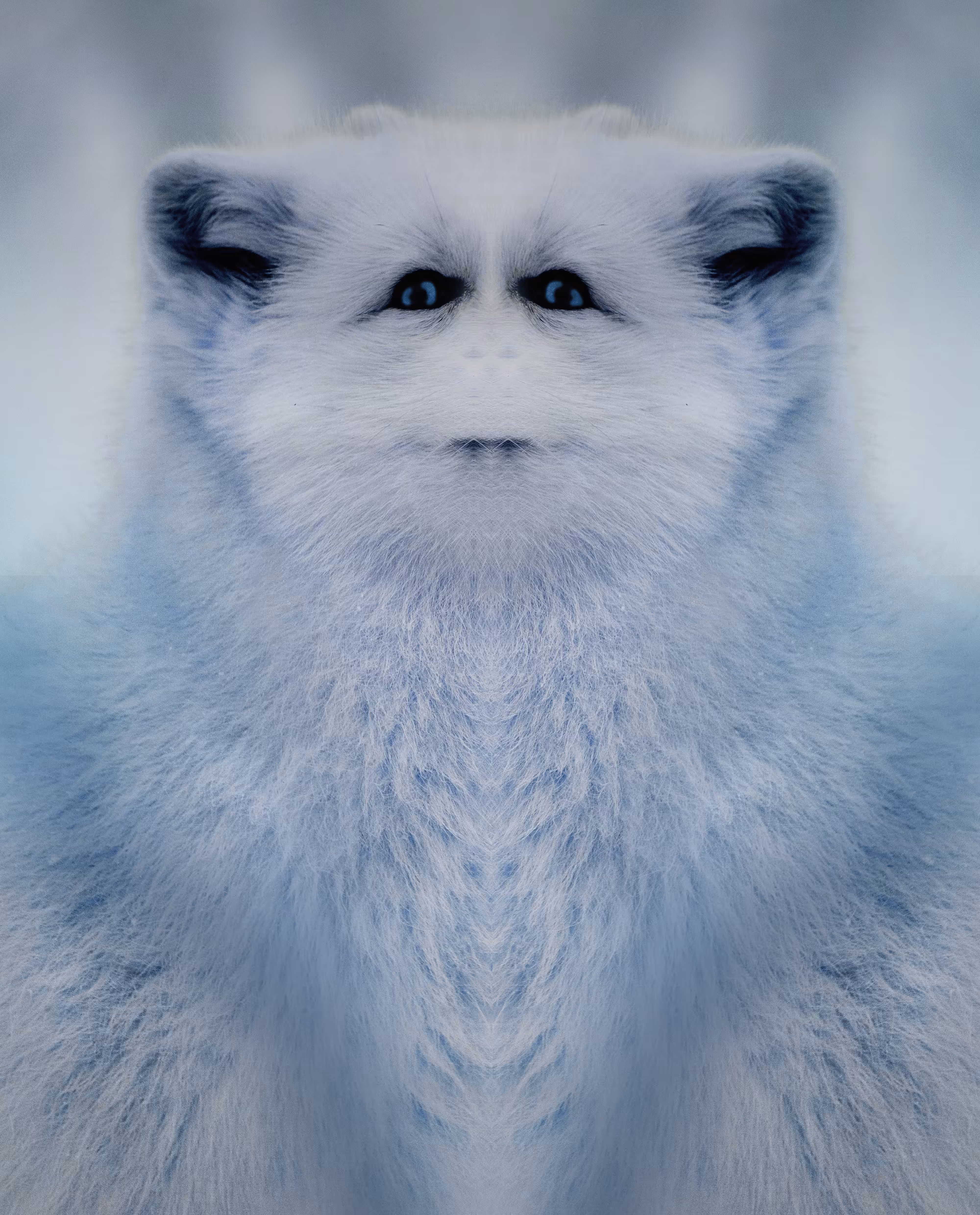 YOUNG'YETI