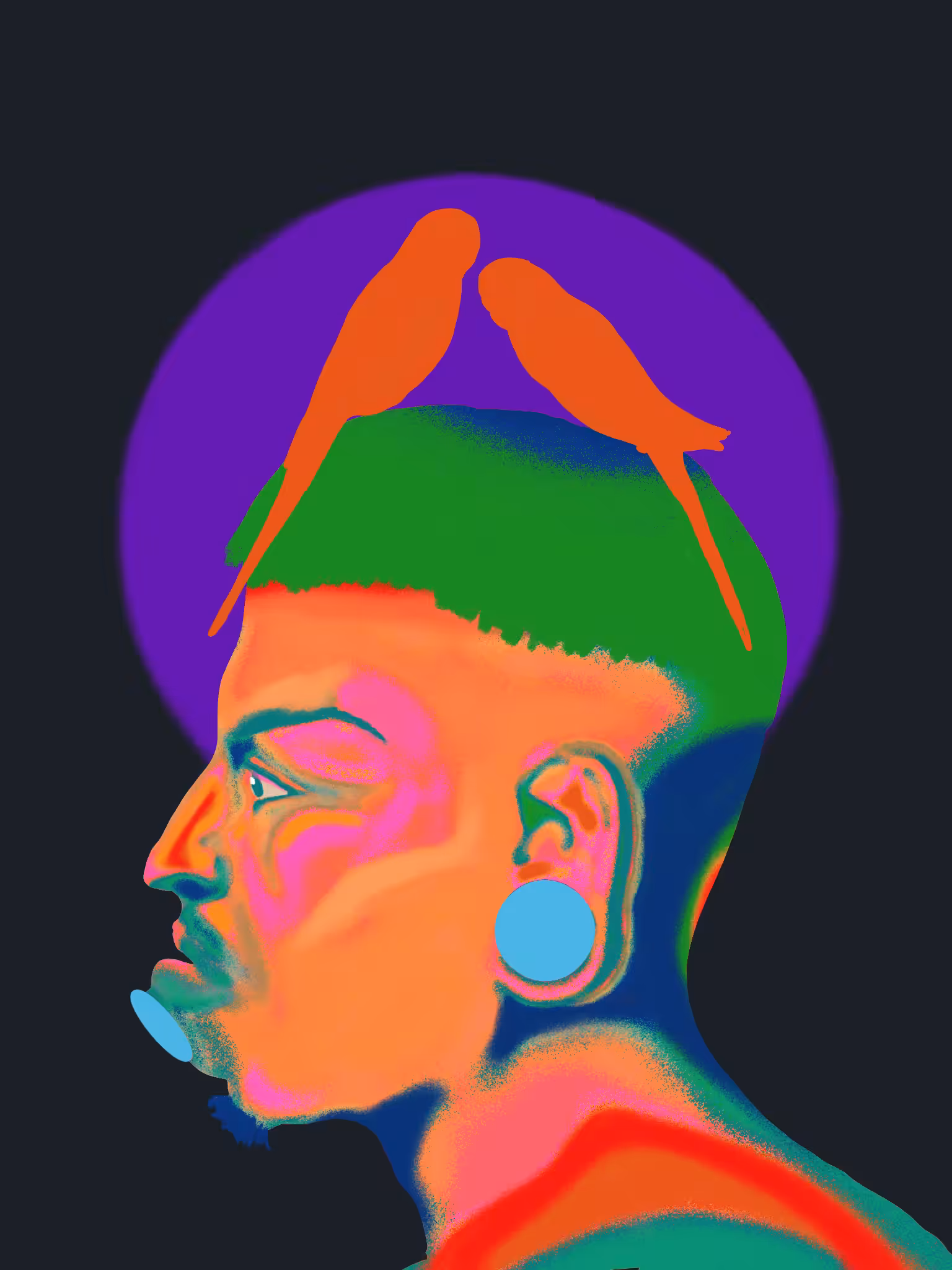 Botocudo IV