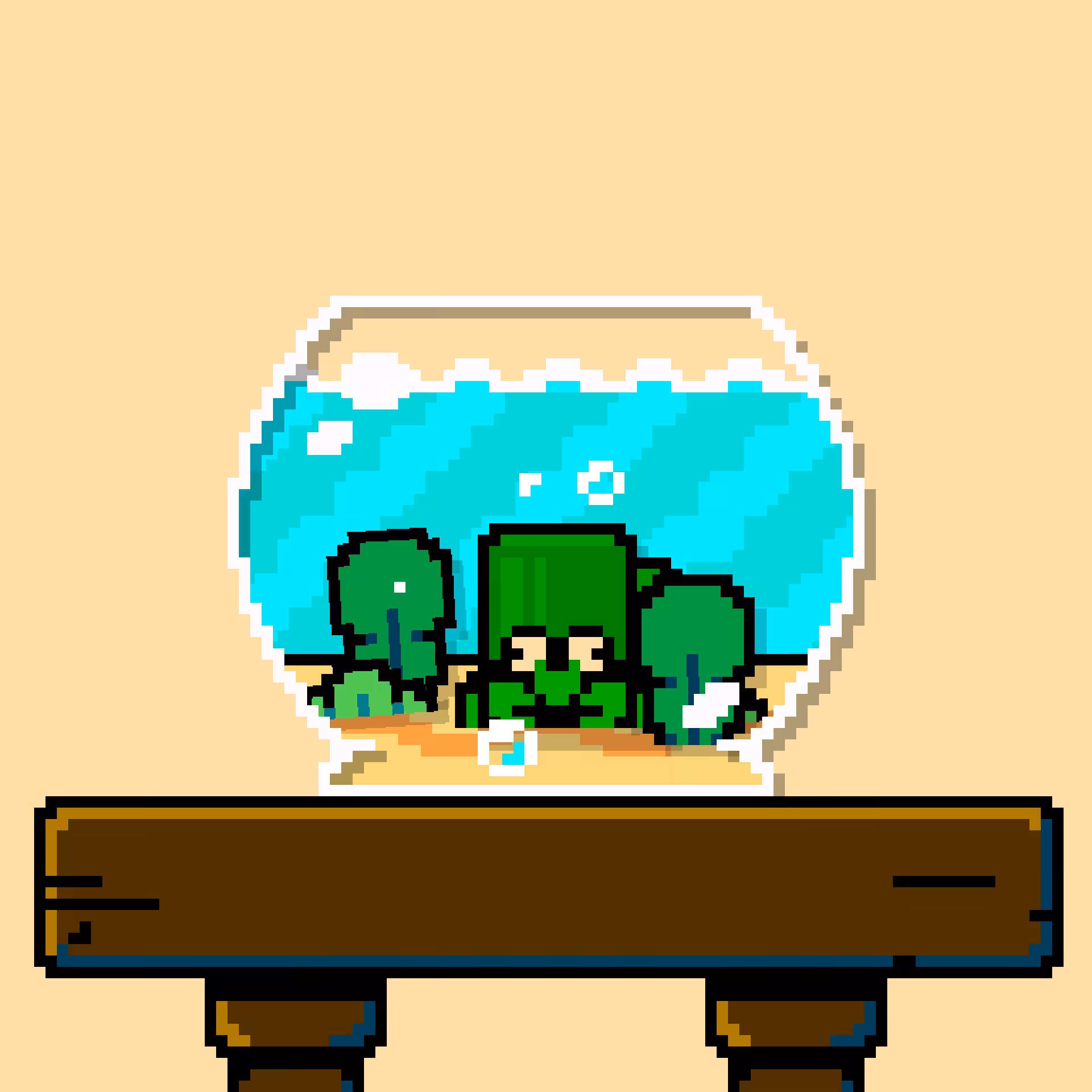 hermit crab #68