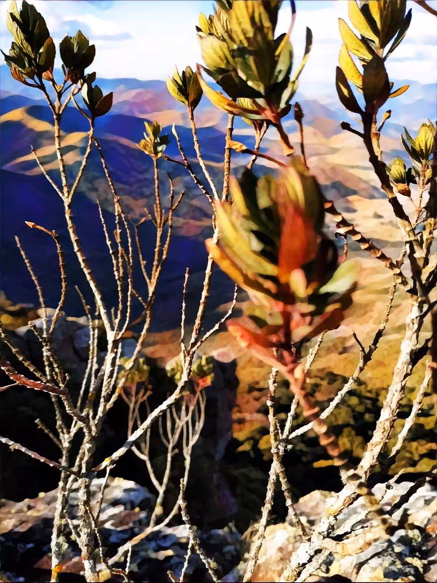 a time for the details of life