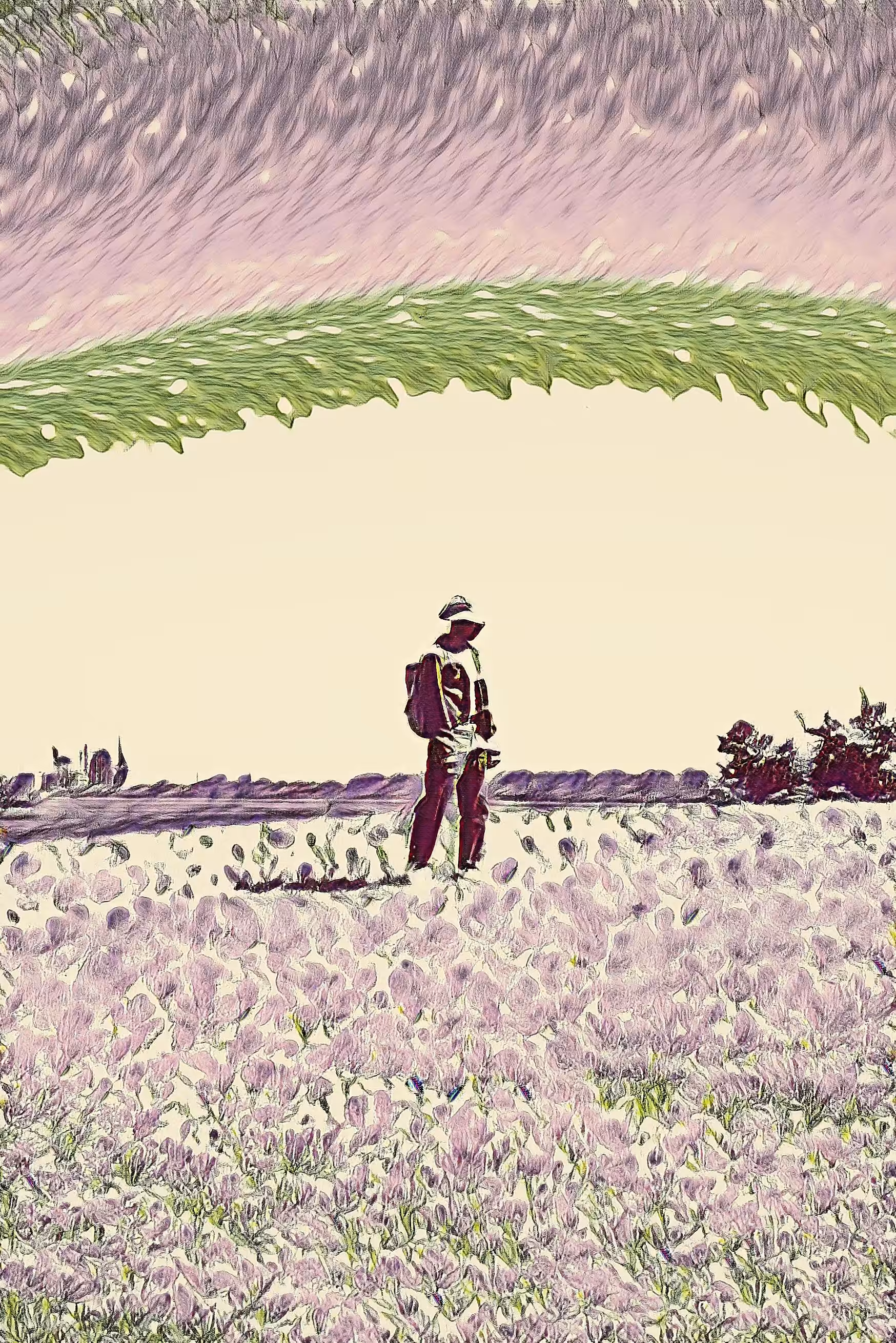 FLOWER FIELD