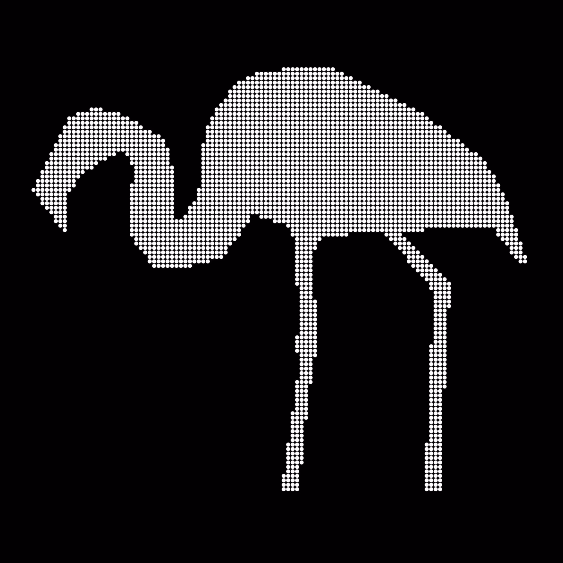 Caltech Studies (Braille): Flamingo 59