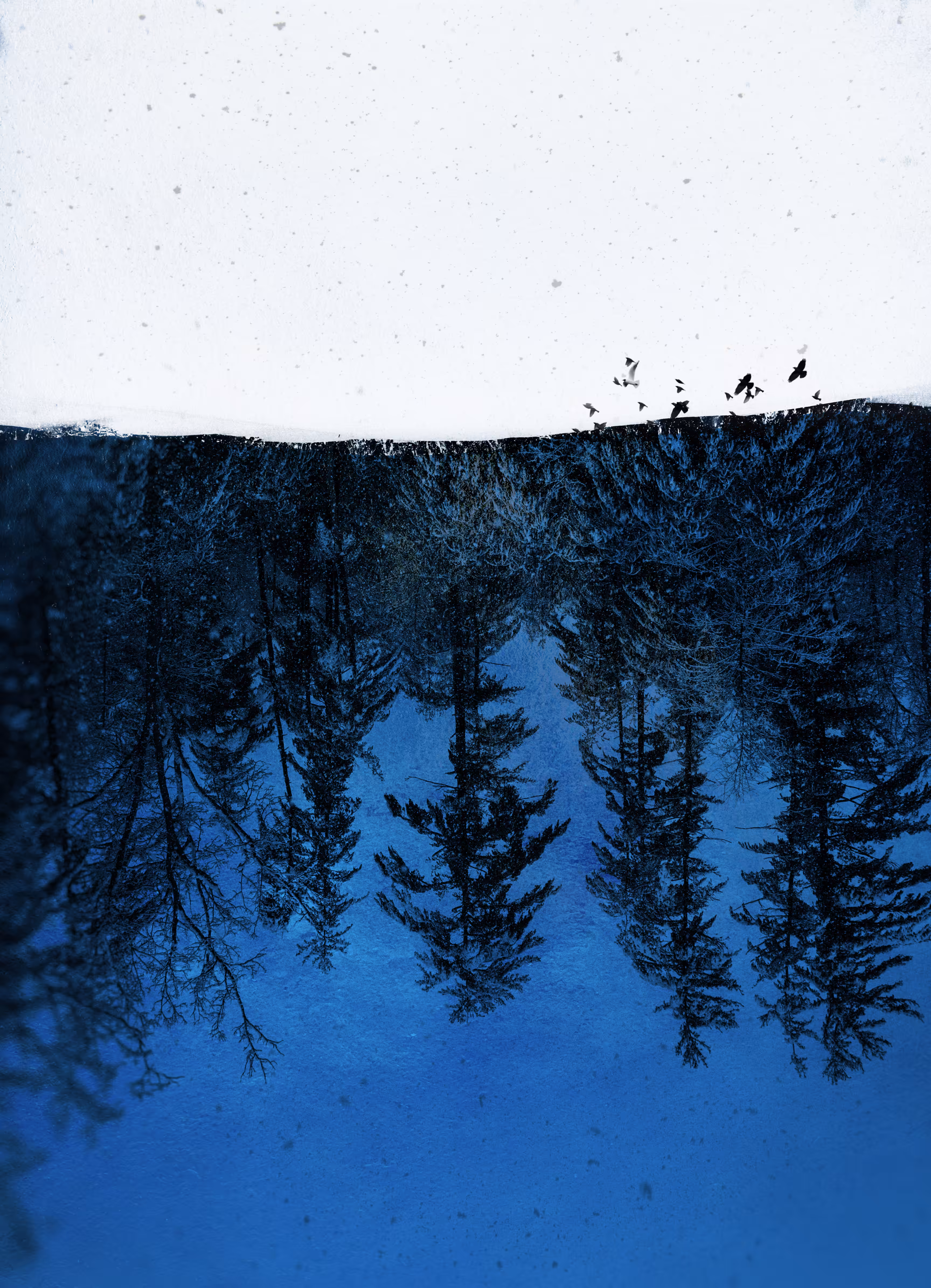 Winter Is Here