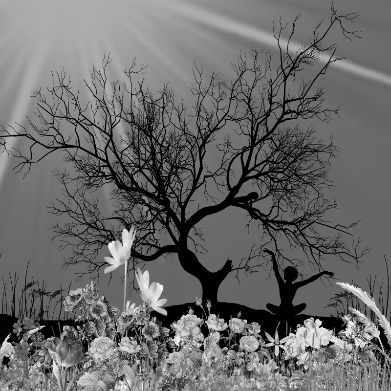 FXBWColor Garden #5