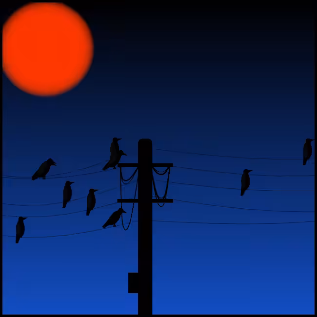 Crows #7
