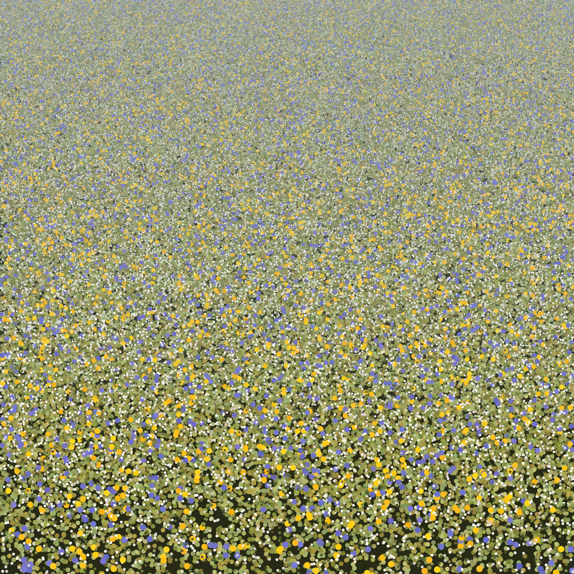 Flowers, Field