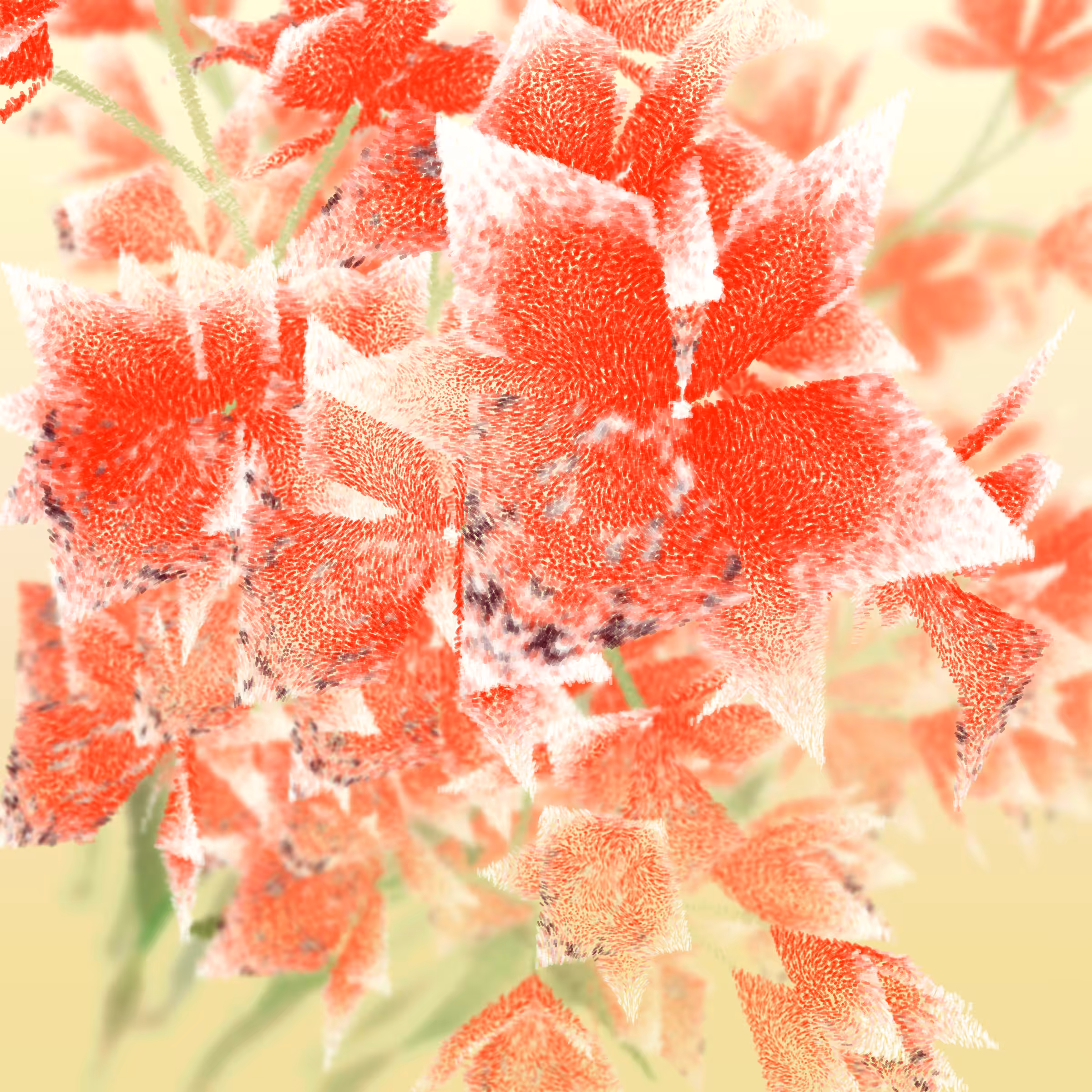 Cattleya #0