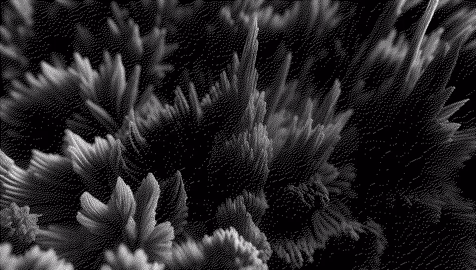 DI̵THER