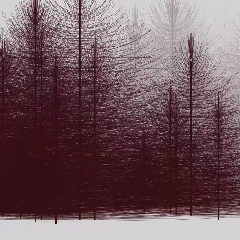 Elfin Forest #4
