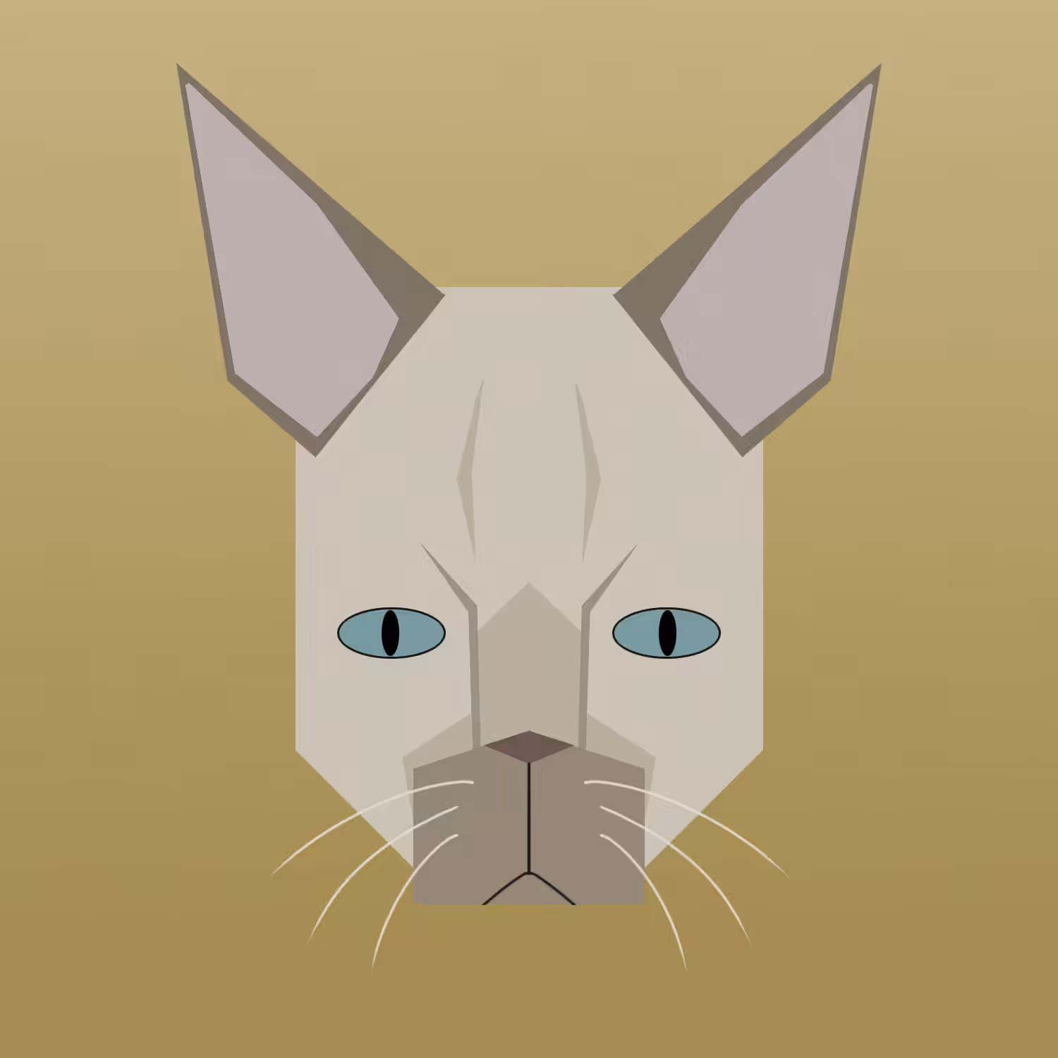 kitty #22 - javanese