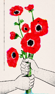 Art for Humanity Palestine : spread the poppy