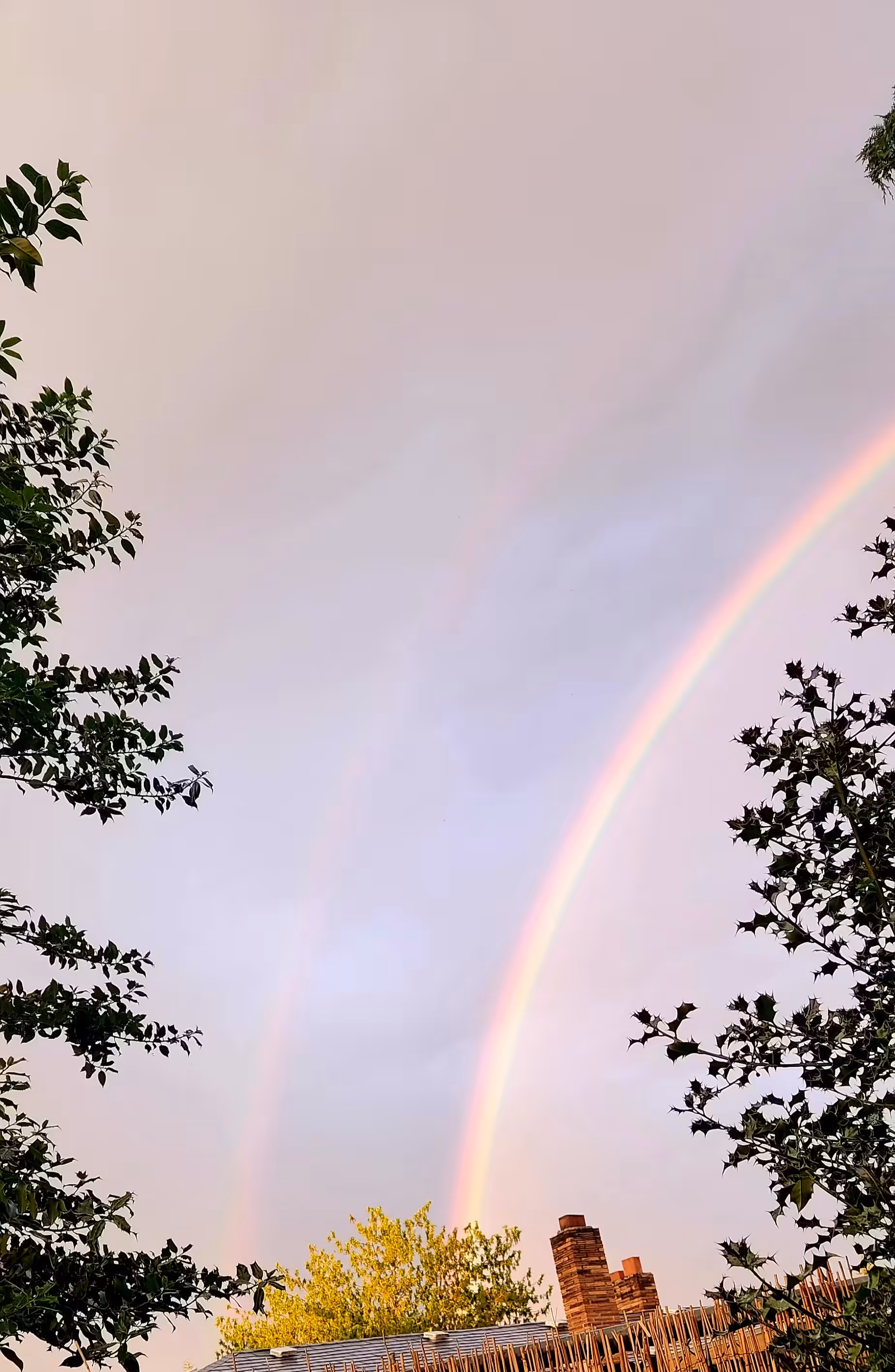 Double The Rainbow Double the fun!
