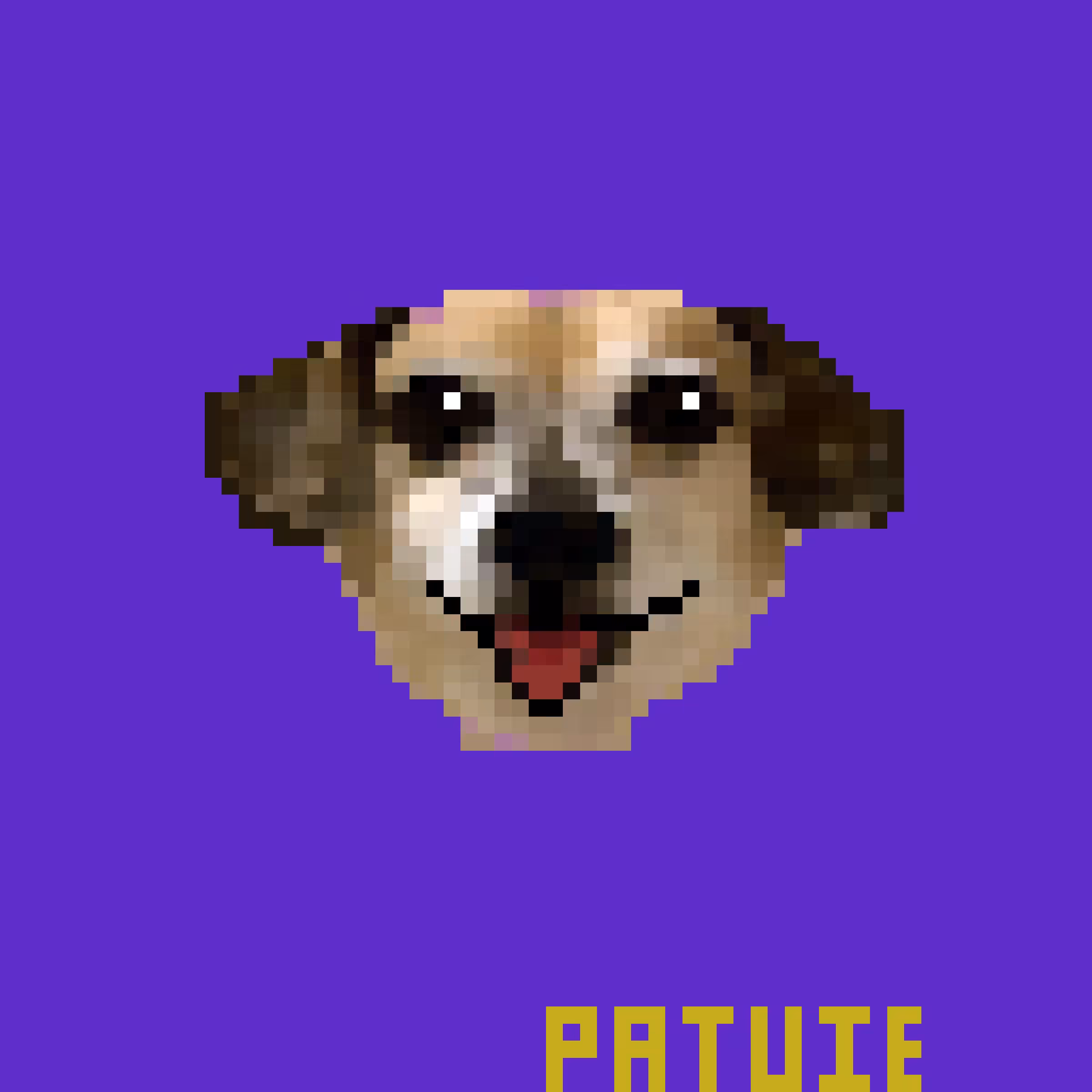 002 PATUIE
