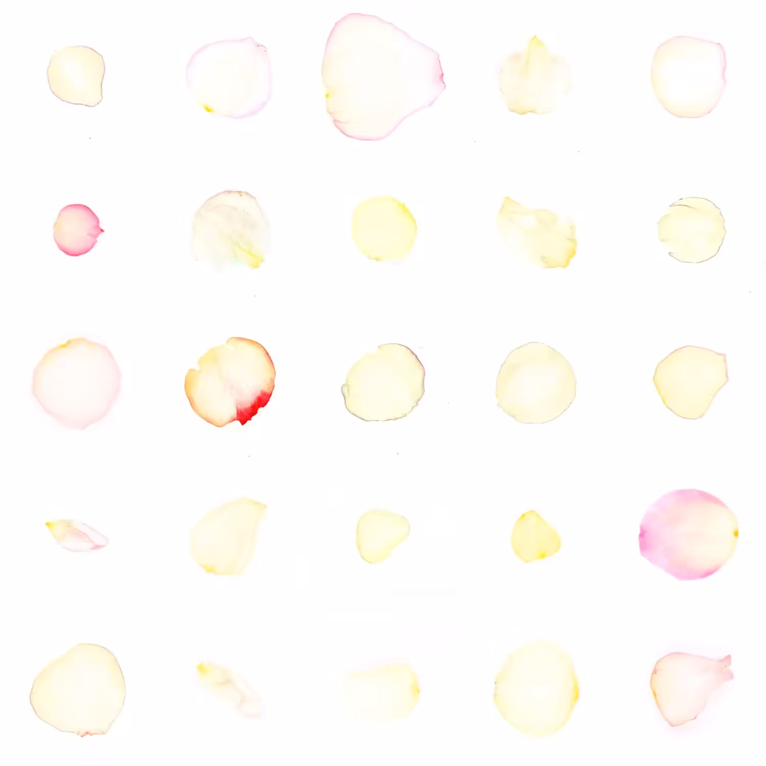 Infinite Petals 5x5#1462