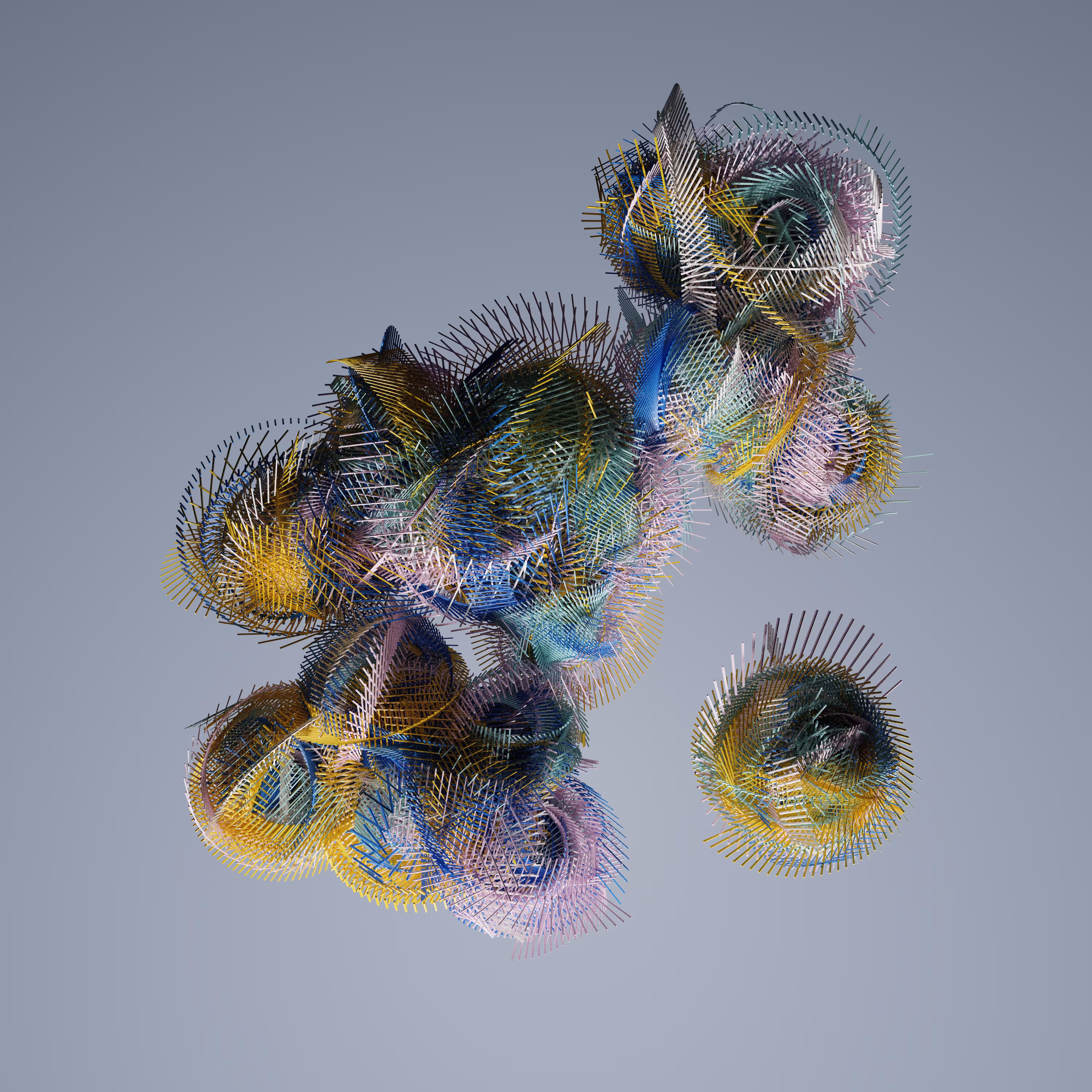 Dissected Shells No. 2