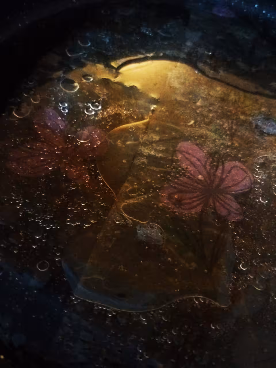 My Photos: Whispers of Twilight