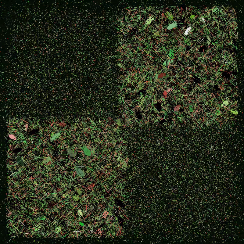 Into the Forestland #66