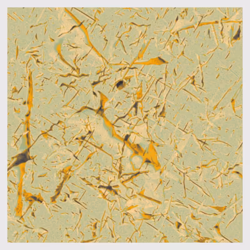 Dynamical System #8