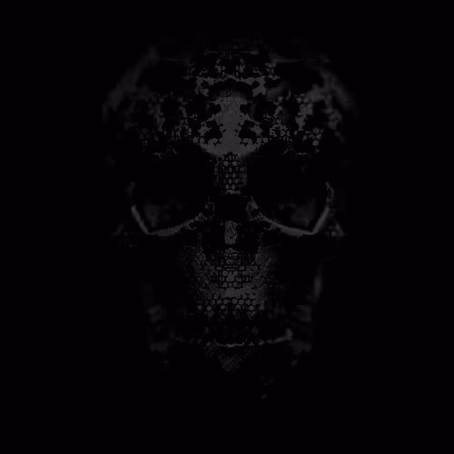 The Skull Collection #001
