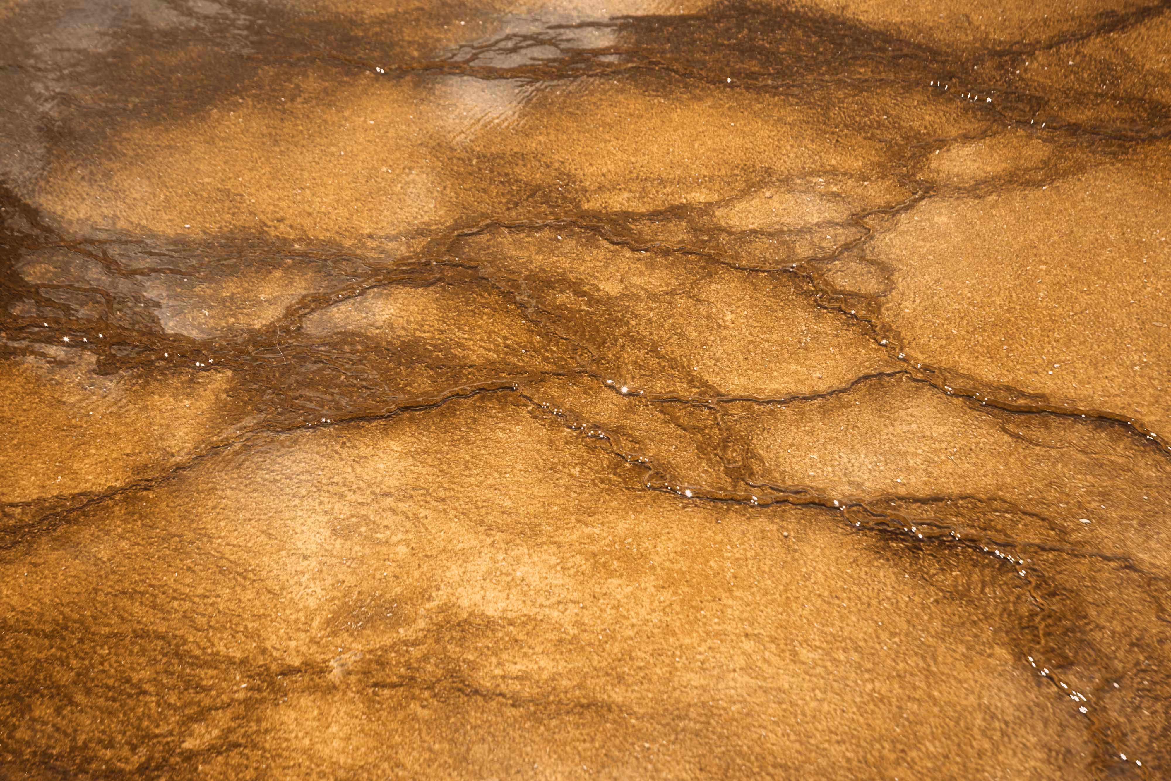 Textures of Yellowstone No. 34