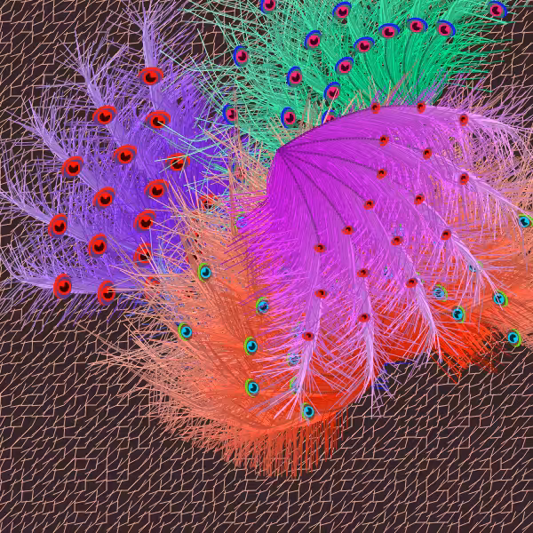 Oriental Peafowl Impression #12