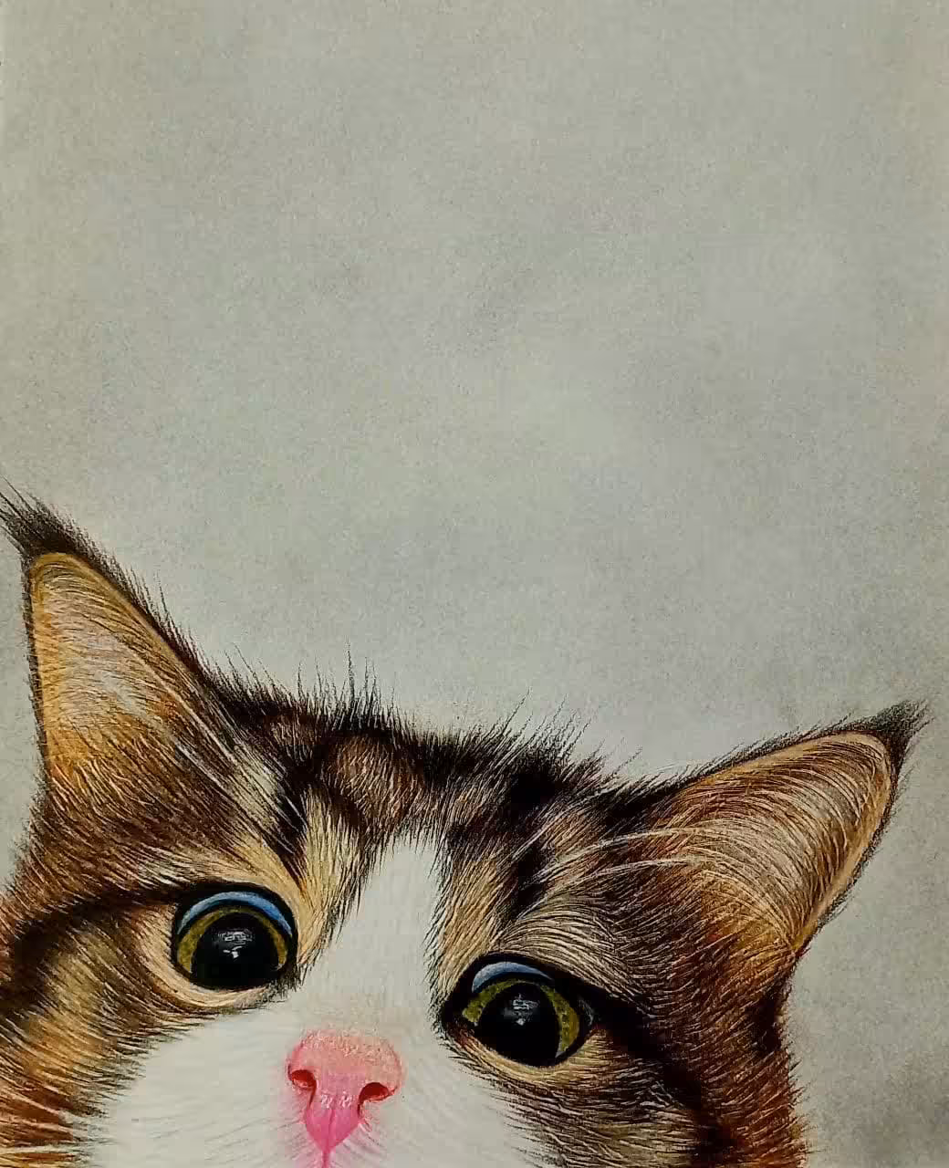 cute cat