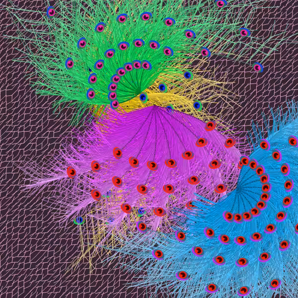 Oriental Peafowl Impression #9