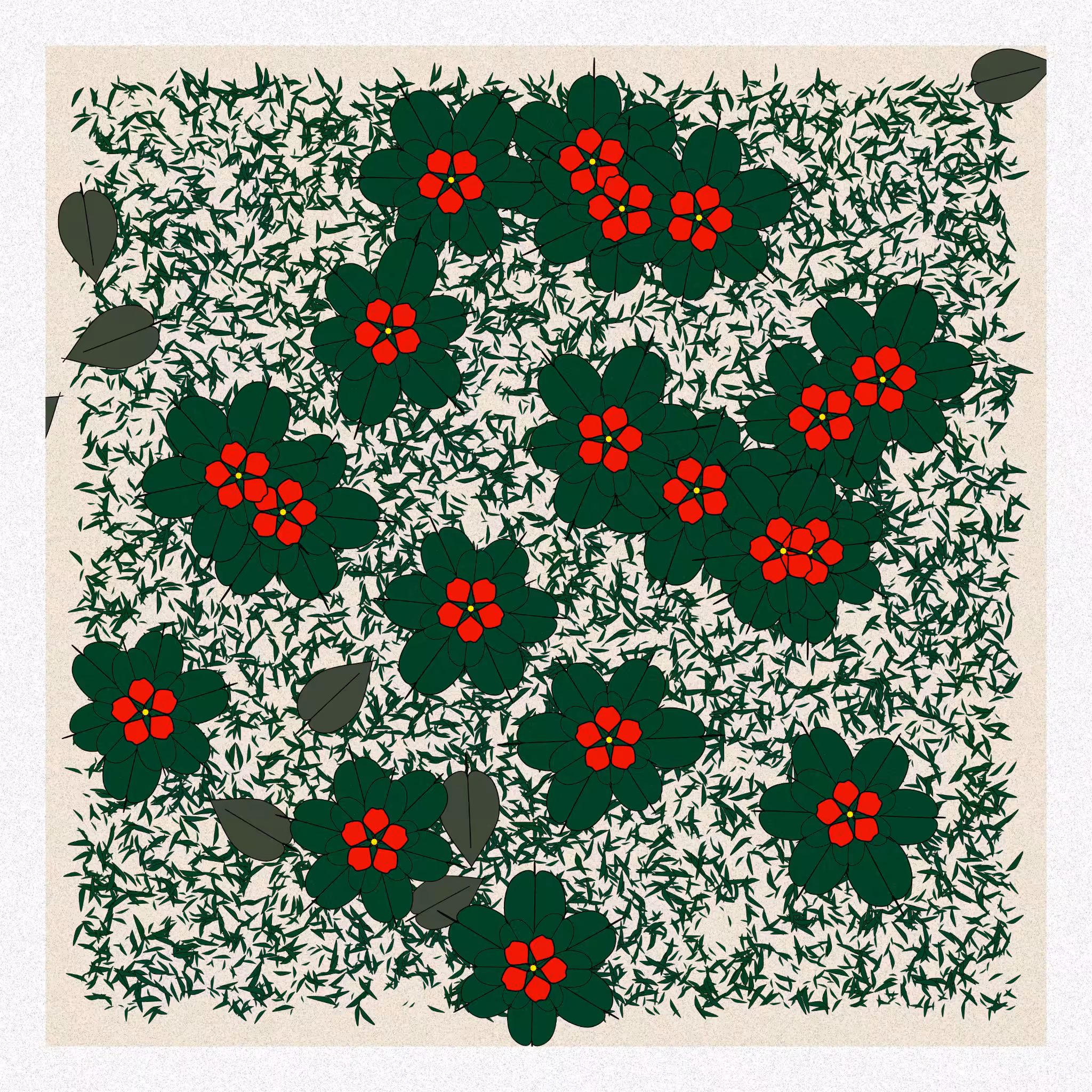 Flowers #223