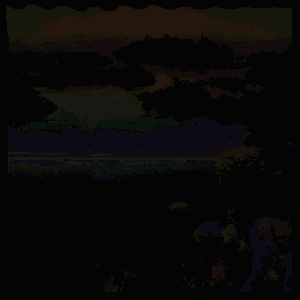 tropical oasis