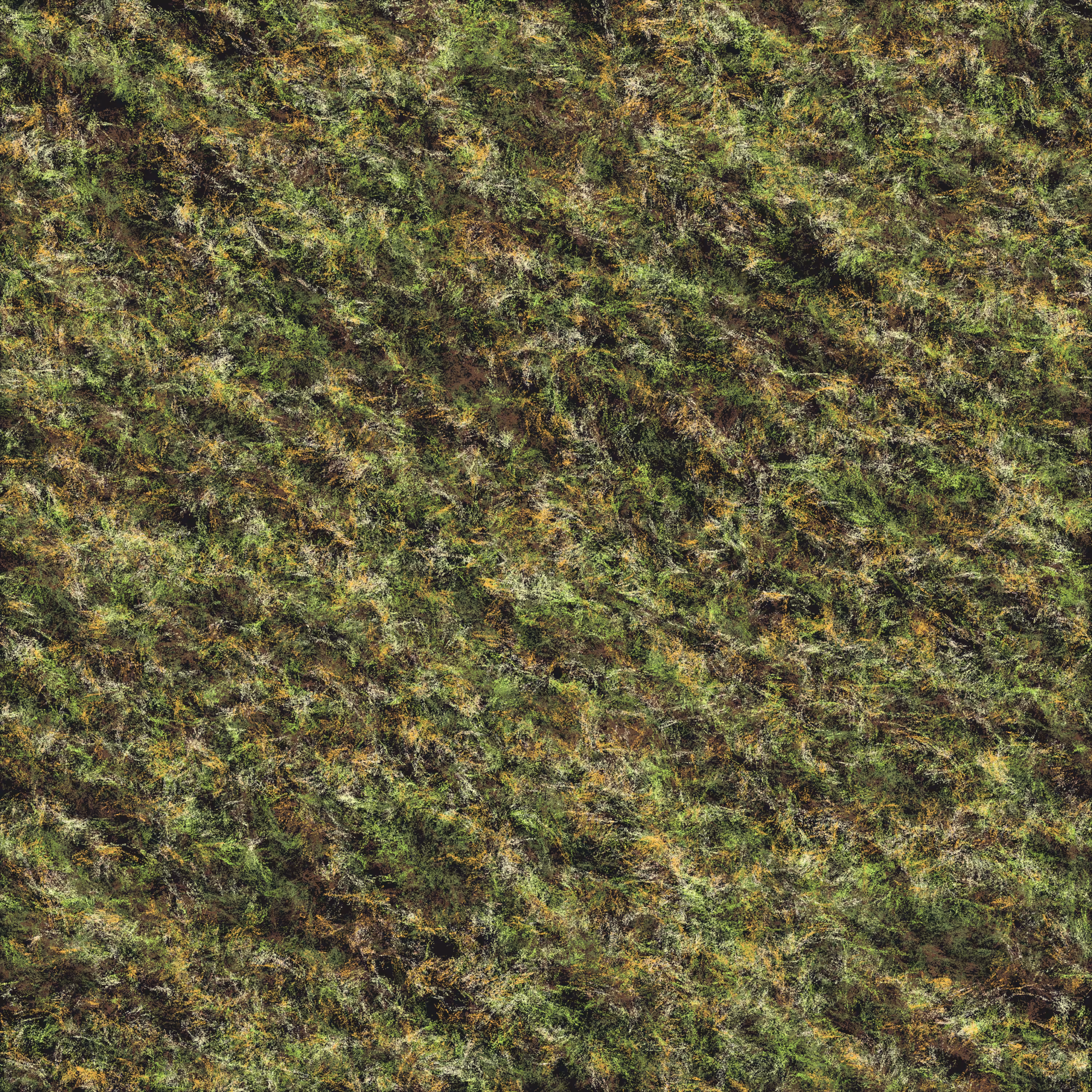 Lichen