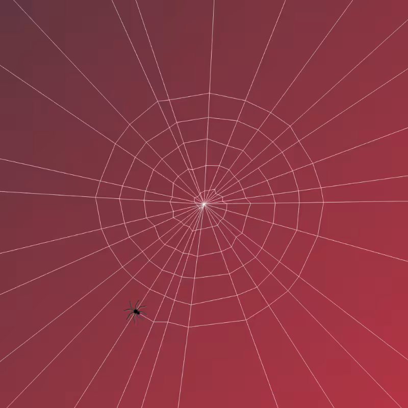 Weaving Spiders #5