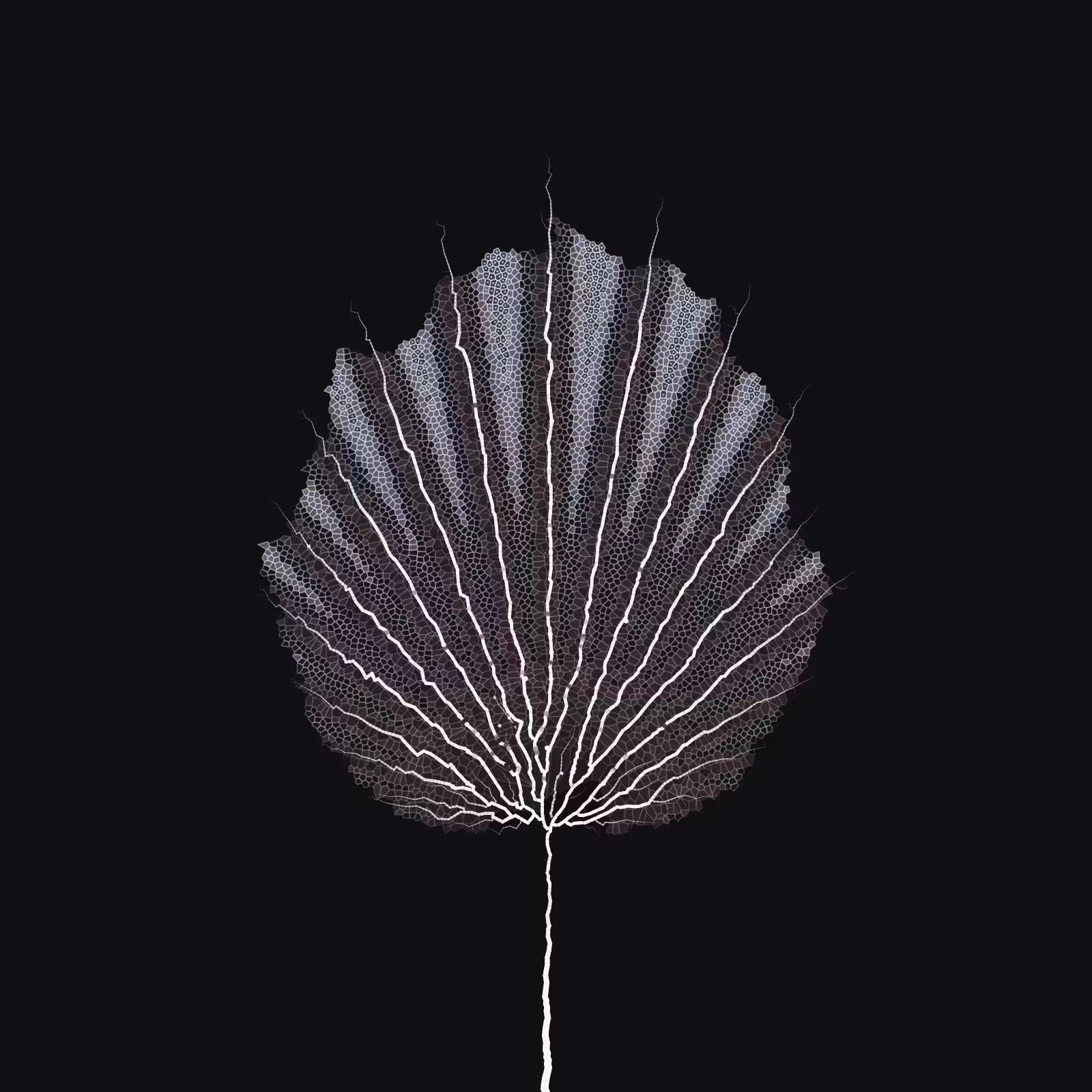 Leaf study #60
