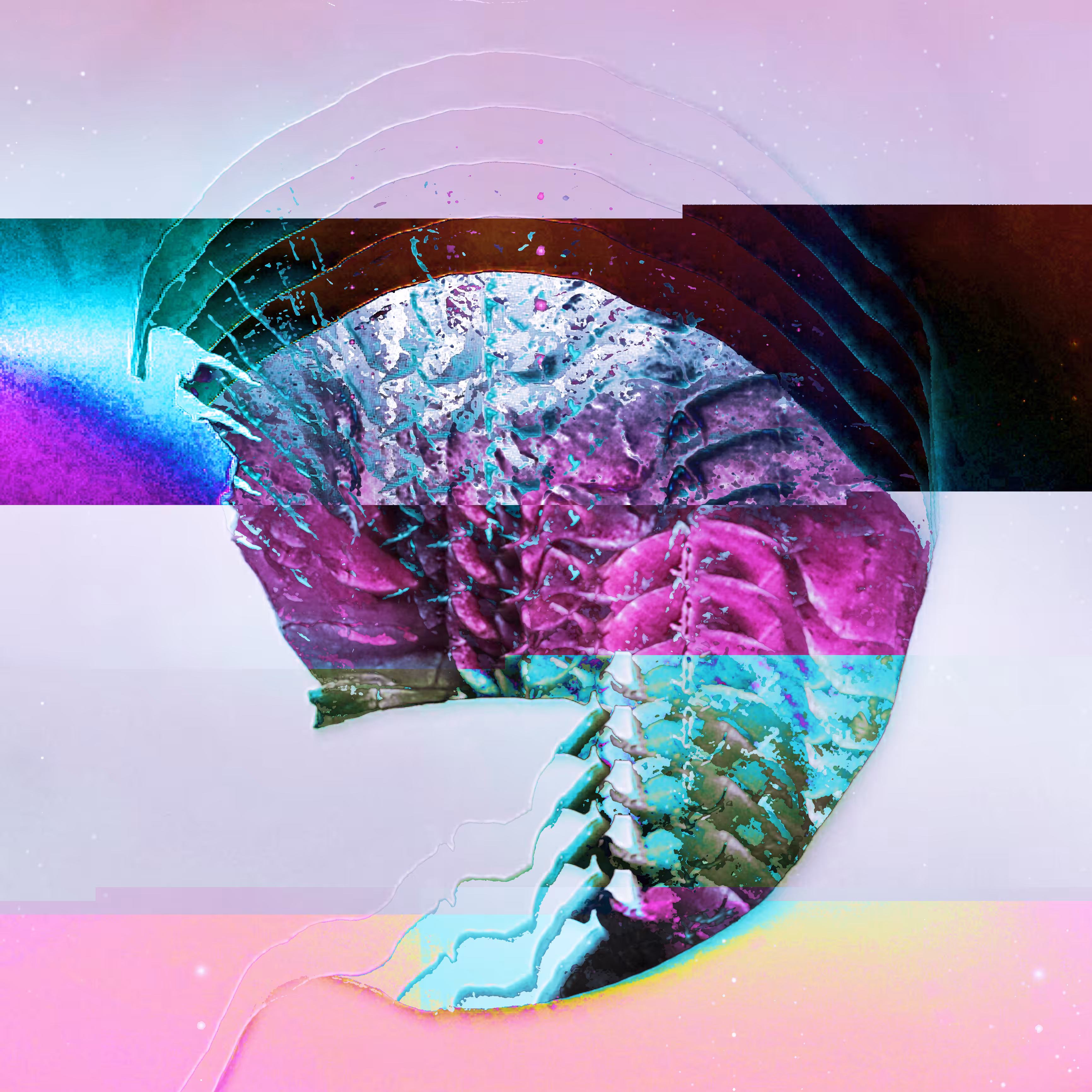 NEURAL /atrophy/