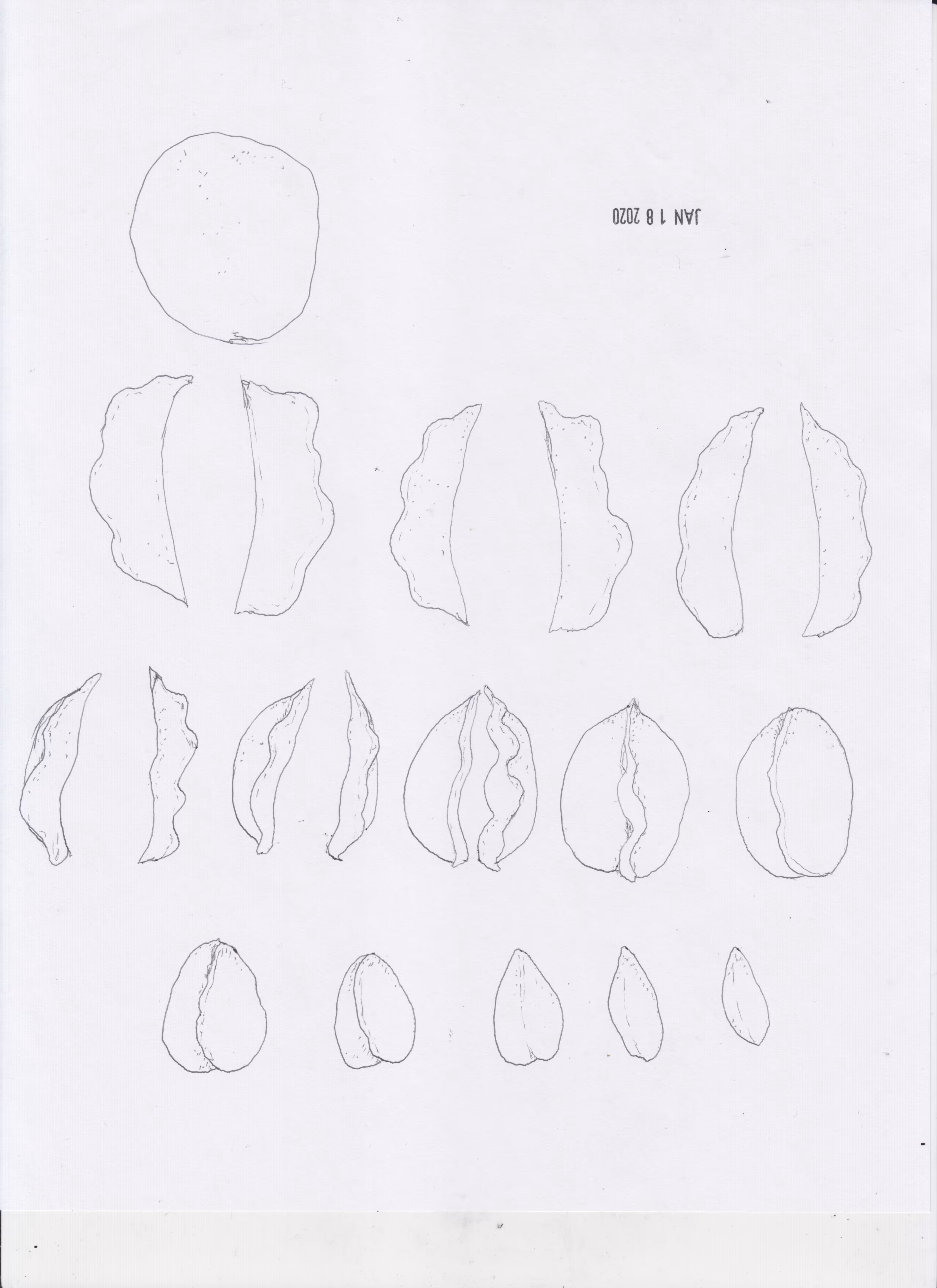 ELEMENTS: ELEMENT_93