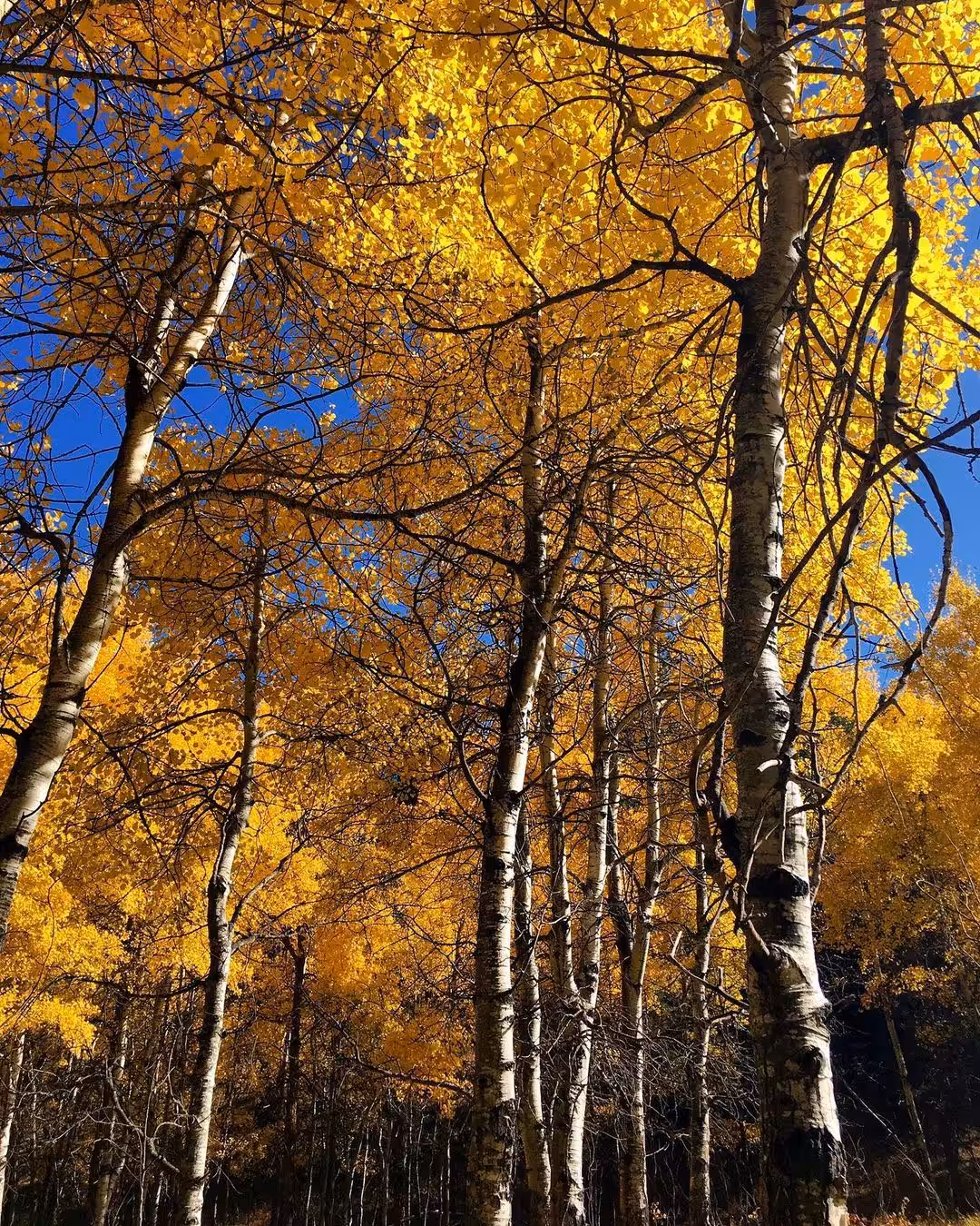 Autumnal Equinox