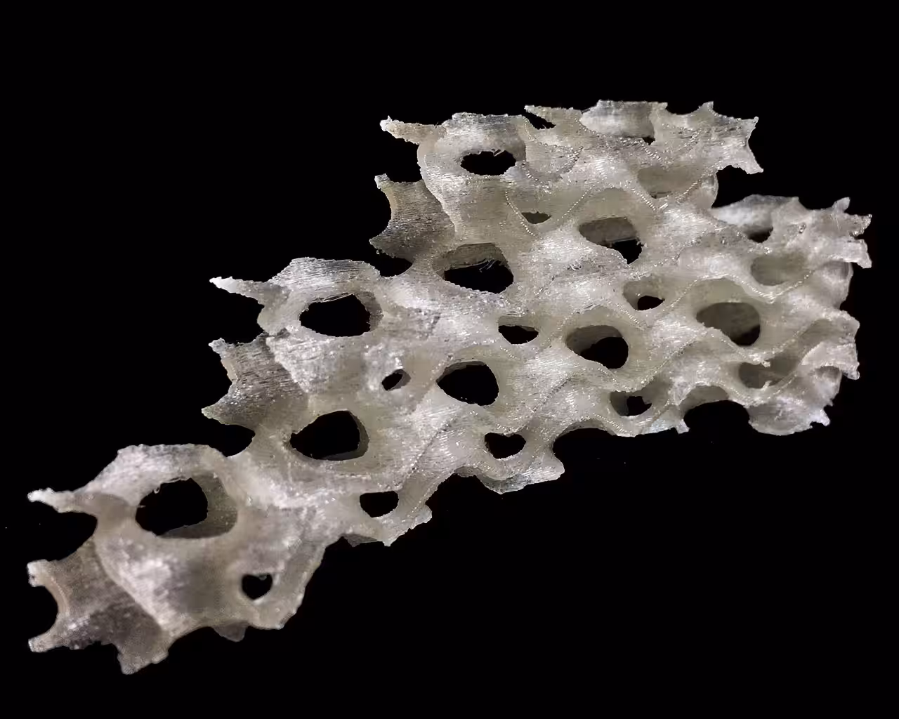 TRANSMUTATIONS PT 1