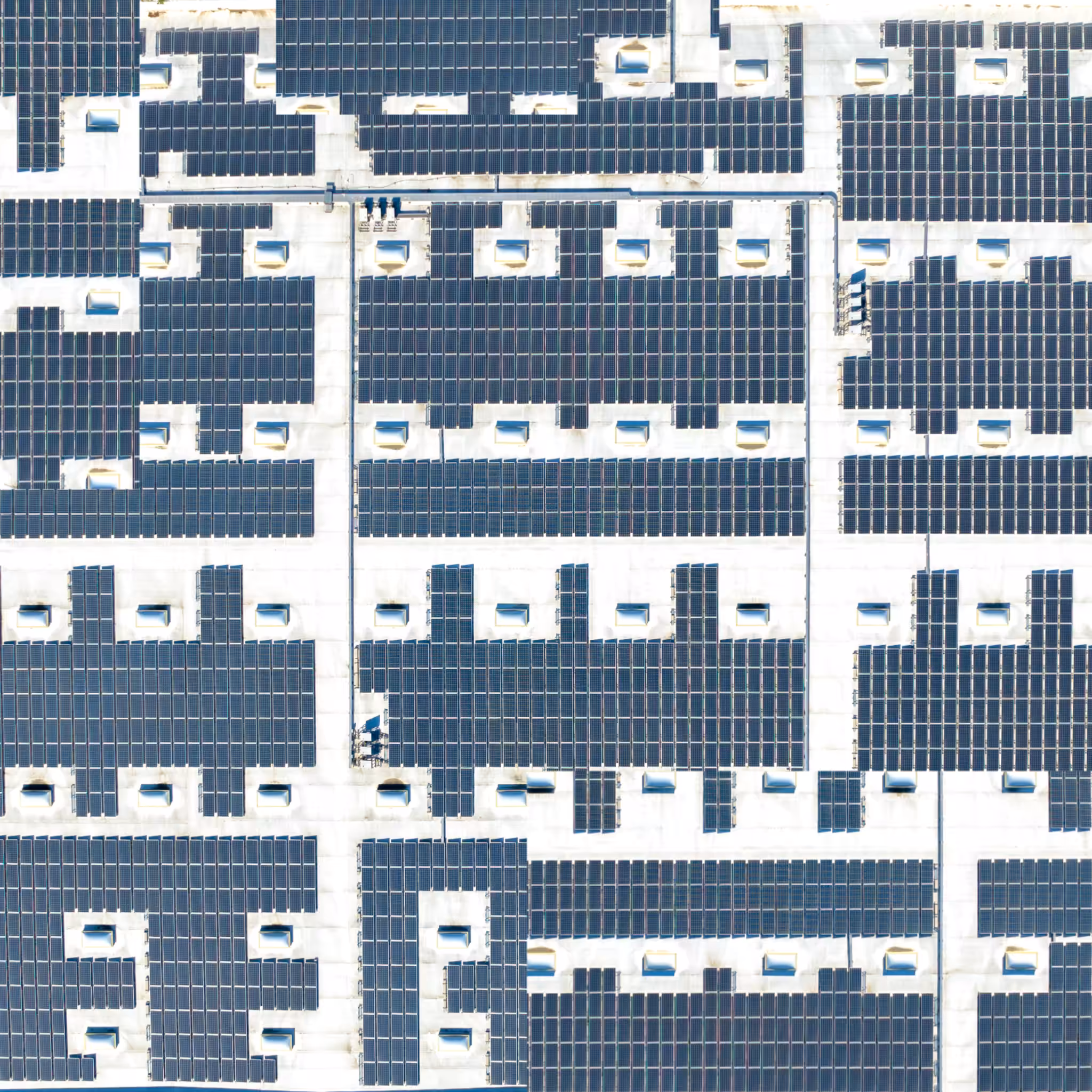 Modulo #7