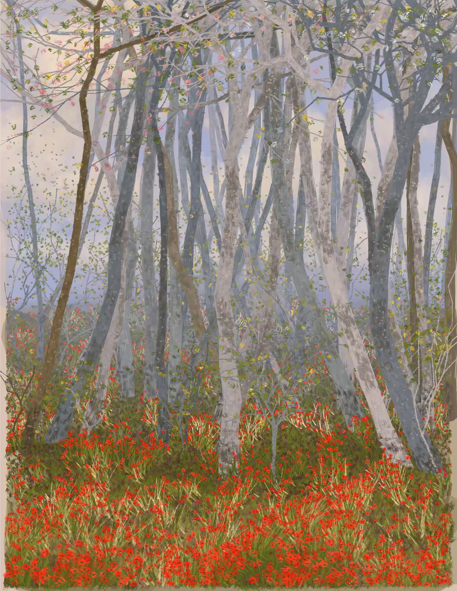 Deep Forest #227
