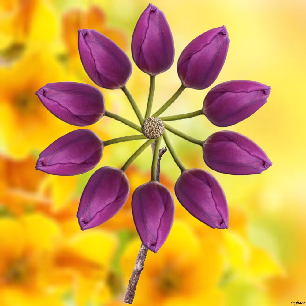 Pinwheel 80 Tulips 