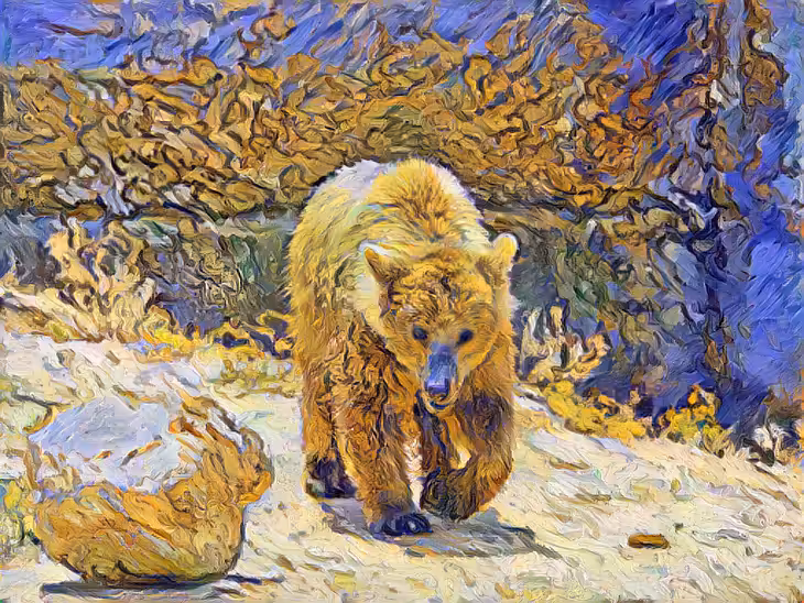 Beware of the bear
