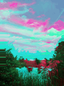 duck pond