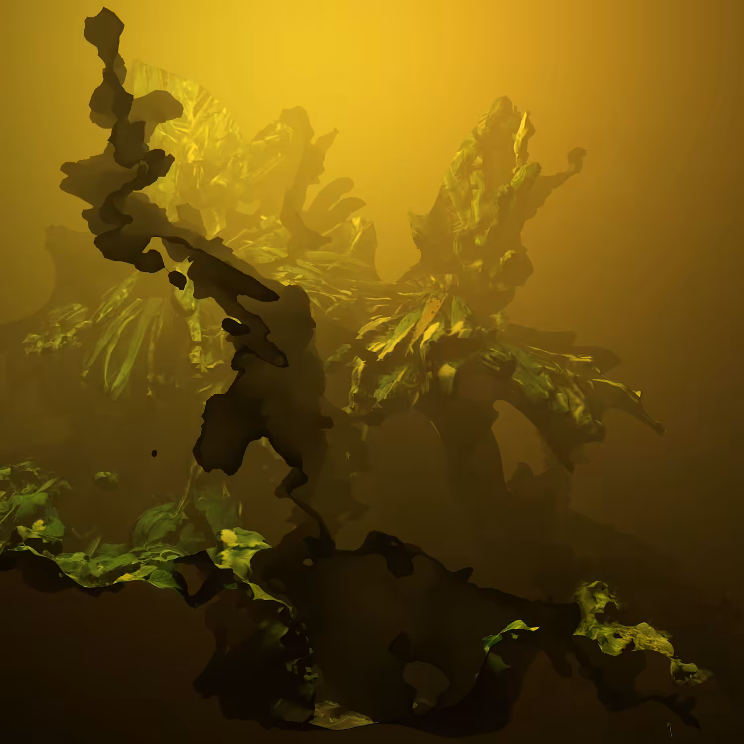 BLOOMCORE #50