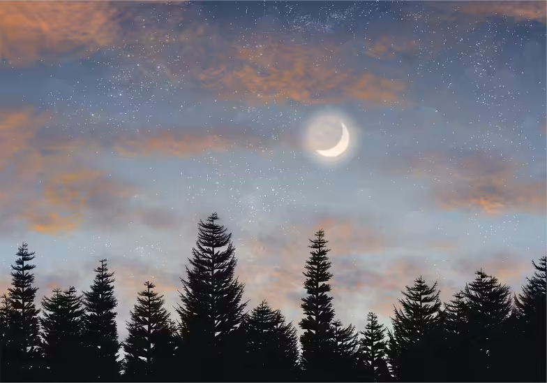 Skyscapes #8