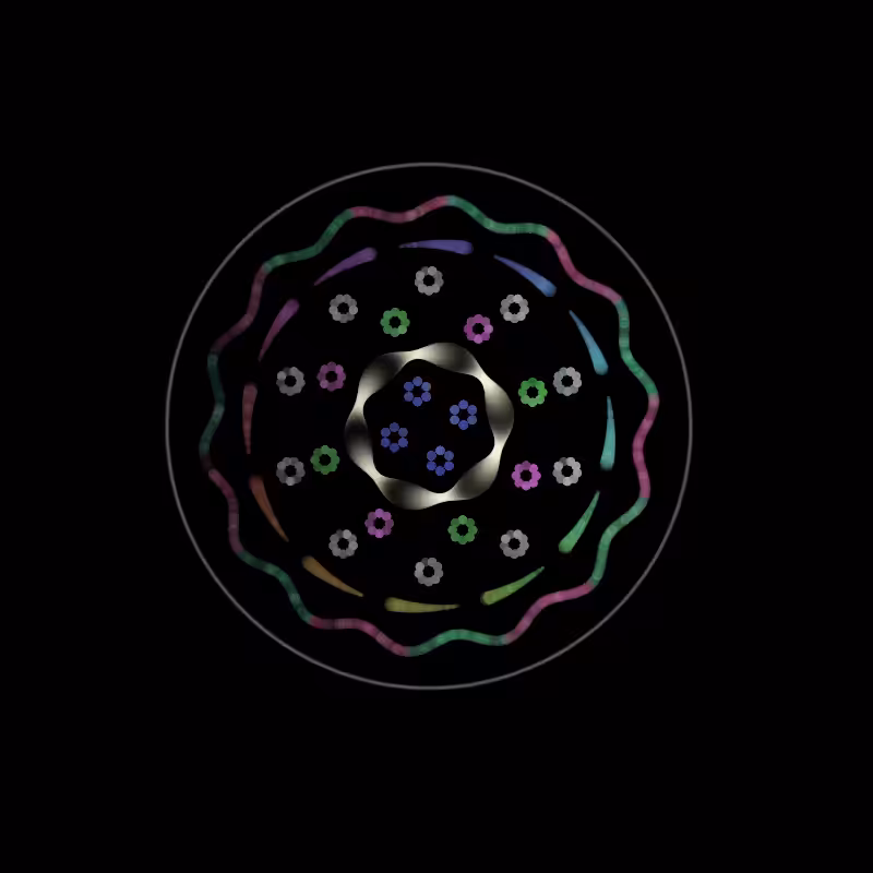 Fluidynamix - Rings #29